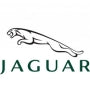 Logo Jaguar - Ampoules LED Jaguar